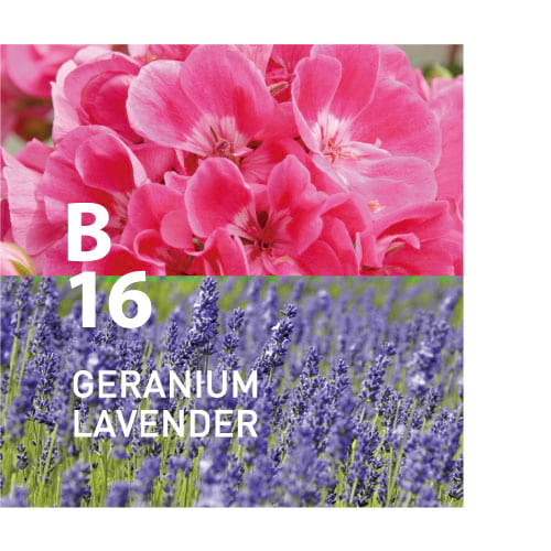 Botanical Air B16 is puur en helder met het delicate parfum van verse bloemen Ingrediënten: Geranium, lavendel, citroen