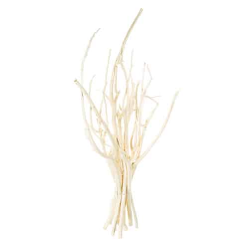 Tokoname branch in wit voor de branch diffuser een professioneel geursysteem